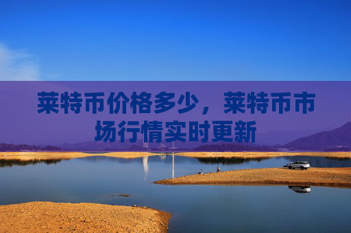 莱特币价格多少，莱特币市场行情实时更新