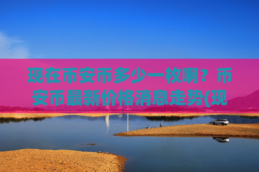现在币安币多少一枚啊？币安币最新价格消息走势(现价4858.36元)