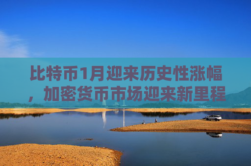 比特币1月迎来历史性涨幅，加密货币市场迎来新里程碑