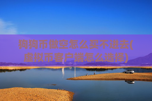 狗狗币做空怎么买不进去(虚拟币客户端怎么选择)