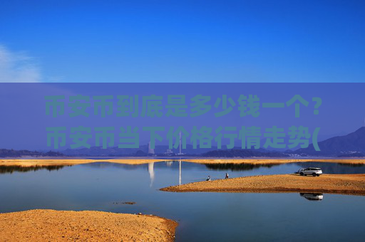 币安币到底是多少钱一个？币安币当下价格行情走势(现价5293.69元)