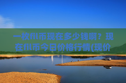 一枚fil币现在多少钱啊？现在fil币今日价格行情(现价57.2506元)