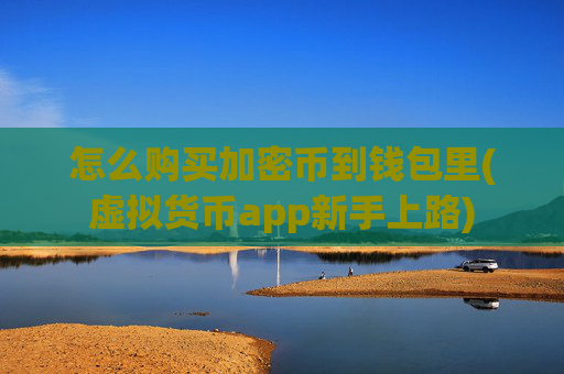 怎么购买加密币到钱包里(虚拟货币app新手上路)