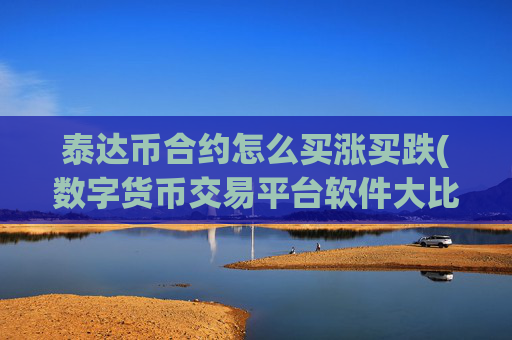泰达币合约怎么买涨买跌(数字货币交易平台软件大比拼)