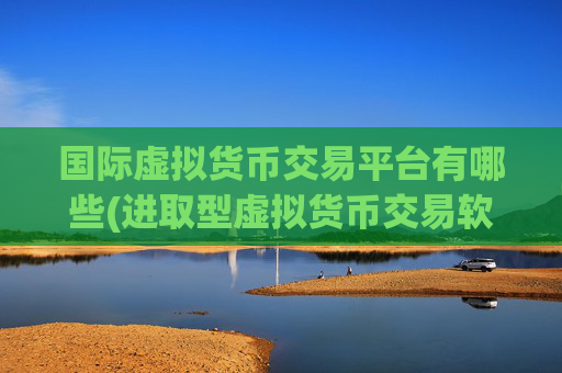 国际虚拟货币交易平台有哪些(进取型虚拟货币交易软件)