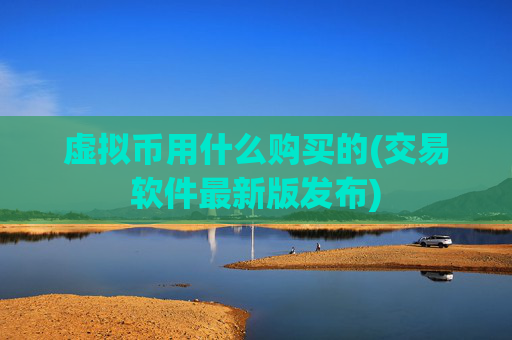 虚拟币用什么购买的(交易软件最新版发布)