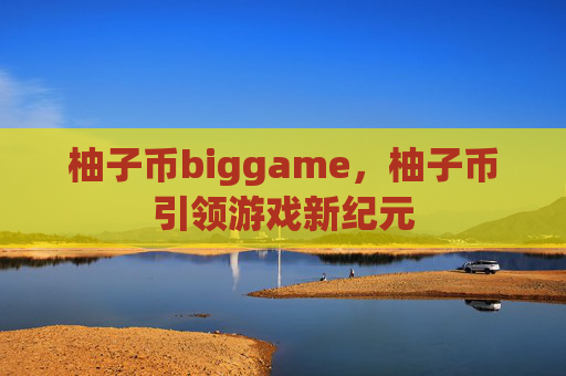 柚子币biggame，柚子币引领游戏新纪元