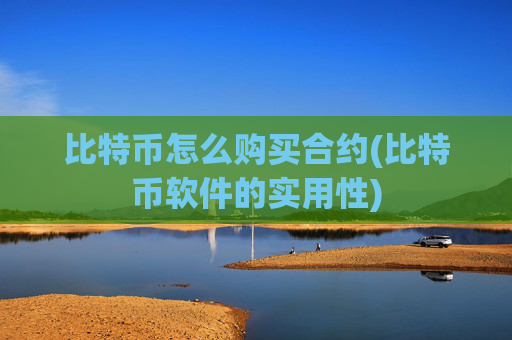 比特币怎么购买合约(比特币软件的实用性)