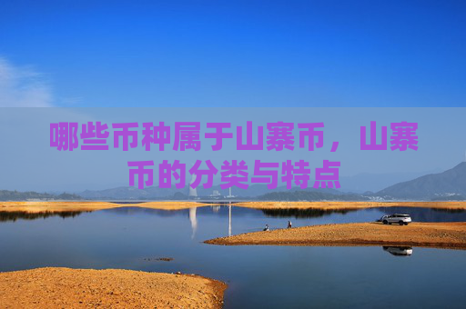 哪些币种属于山寨币，山寨币的分类与特点