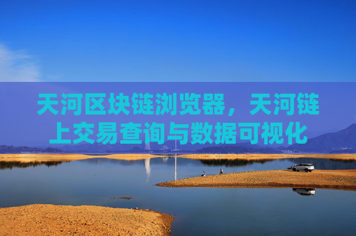 天河区块链浏览器，天河链上交易查询与数据可视化