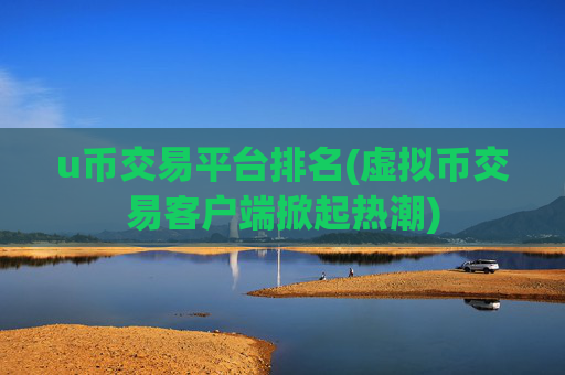 u币交易平台排名(虚拟币交易客户端掀起热潮)