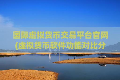 国际虚拟货币交易平台官网(虚拟货币软件功能对比分析)