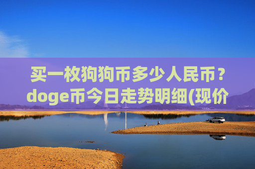 买一枚狗狗币多少人民币？doge币今日走势明细(现价3.1255元)