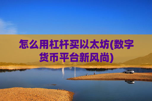 怎么用杠杆买以太坊(数字货币平台新风尚)