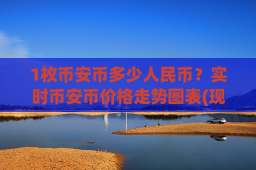 1枚币安币多少人民币？实时币安币价格走势图表(现价5159.1元)
