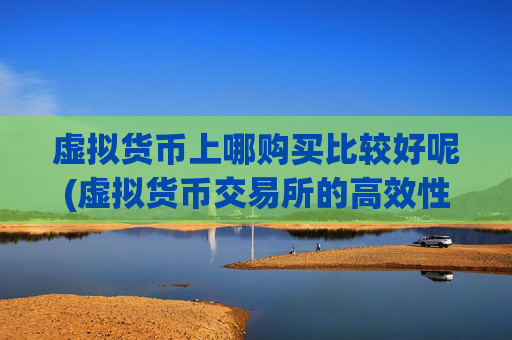 虚拟货币上哪购买比较好呢(虚拟货币交易所的高效性)