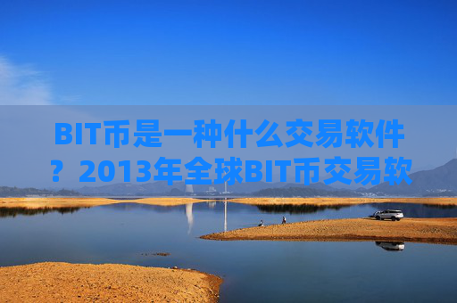 BIT币是一种什么交易软件？2013年全球BIT币交易软件下载排名