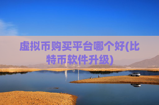 虚拟币购买平台哪个好(比特币软件升级)