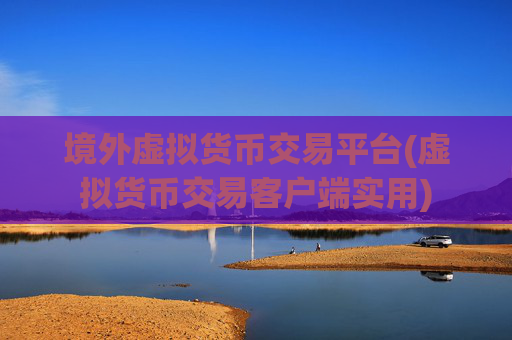 境外虚拟货币交易平台(虚拟货币交易客户端实用)