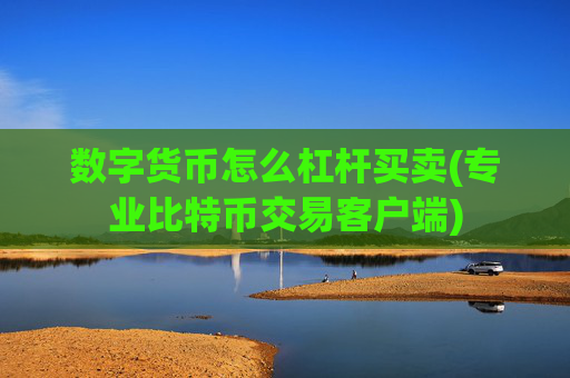 数字货币怎么杠杆买卖(专业比特币交易客户端)