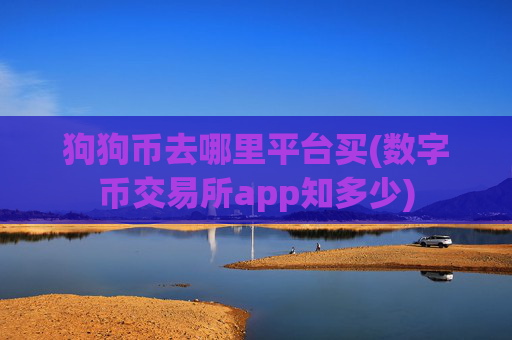 狗狗币去哪里平台买(数字币交易所app知多少)