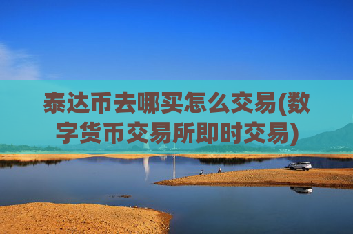 泰达币去哪买怎么交易(数字货币交易所即时交易)