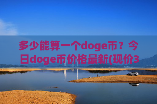 多少能算一个doge币？今日doge币价格最新(现价3.1386元)