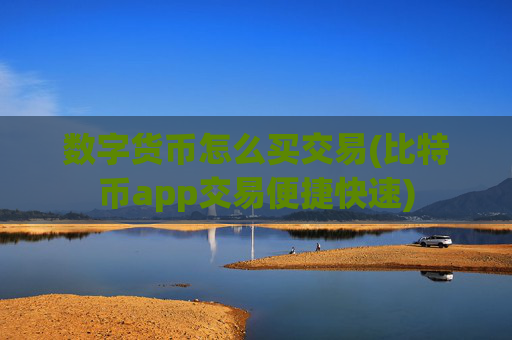 数字货币怎么买交易(比特币app交易便捷快速)