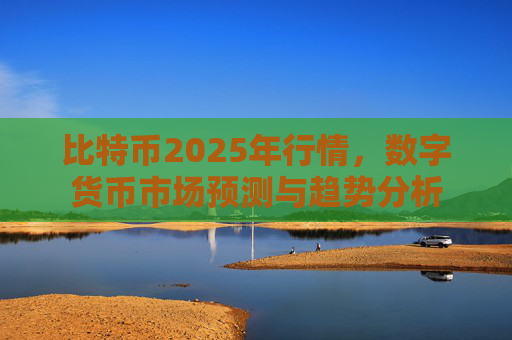比特币2025年行情，数字货币市场预测与趋势分析