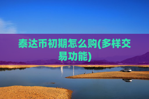泰达币初期怎么购(多样交易功能)