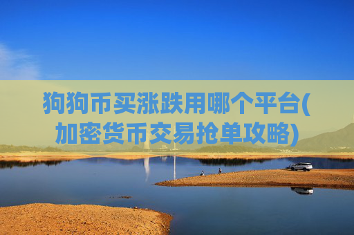 狗狗币买涨跌用哪个平台(加密货币交易抢单攻略)