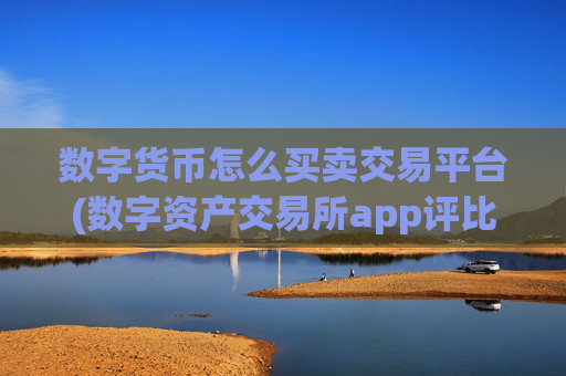 数字货币怎么买卖交易平台(数字资产交易所app评比)