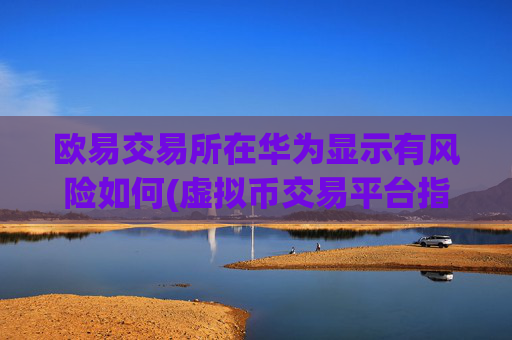欧易交易所在华为显示有风险如何(虚拟币交易平台指南)