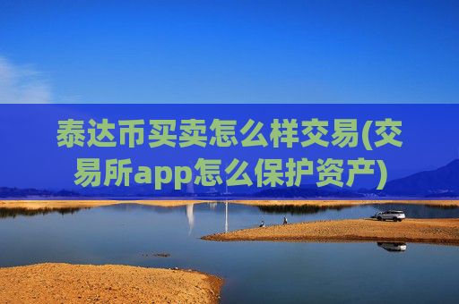 泰达币买卖怎么样交易(交易所app怎么保护资产)