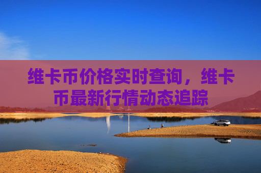 维卡币价格实时查询，维卡币最新行情动态追踪