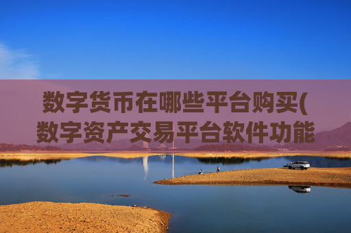 数字货币在哪些平台购买(数字资产交易平台软件功能)