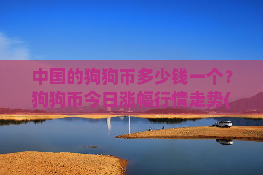 中国的狗狗币多少钱一个？狗狗币今日涨幅行情走势(现价3.104元)