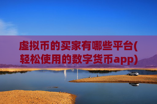 虚拟币的买家有哪些平台(轻松使用的数字货币app)