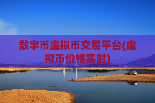 数字币虚拟币交易平台(虚拟币价格实时)