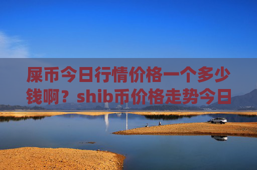 屎币今日行情价格一个多少钱啊？shib币价格走势今日分析(现价0.00022042元)