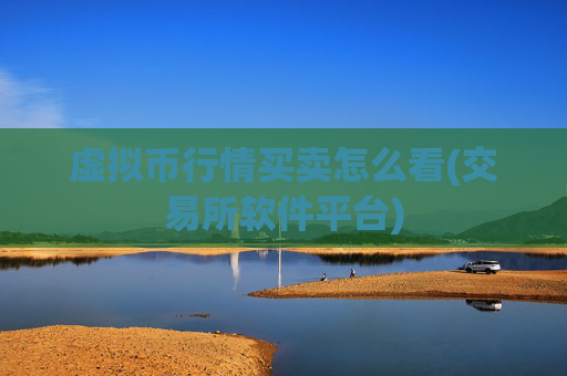 虚拟币行情买卖怎么看(交易所软件平台)