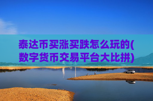泰达币买涨买跌怎么玩的(数字货币交易平台大比拼)