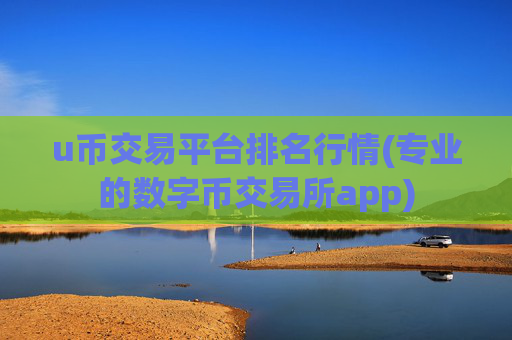 u币交易平台排名行情(专业的数字币交易所app)
