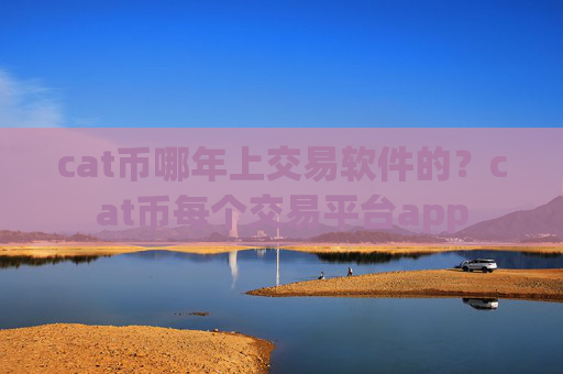 cat币哪年上交易软件的？cat币每个交易平台app