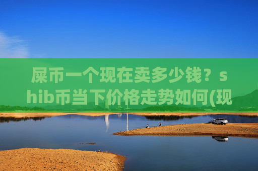 屎币一个现在卖多少钱？shib币当下价格走势如何(现价0.00015588元)
