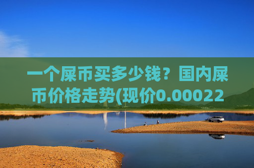 一个屎币买多少钱？国内屎币价格走势(现价0.00022158元)