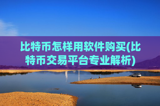 比特币怎样用软件购买(比特币交易平台专业解析)