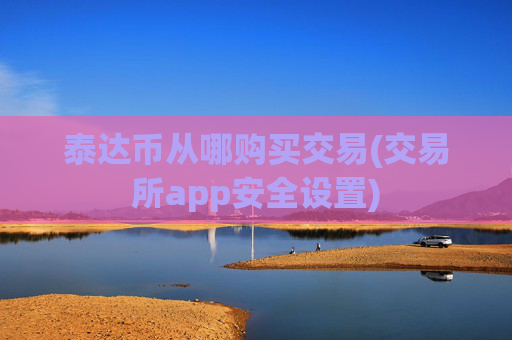 泰达币从哪购买交易(交易所app安全设置)