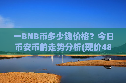 一BNB币多少钱价格？今日币安币的走势分析(现价4866.6元)