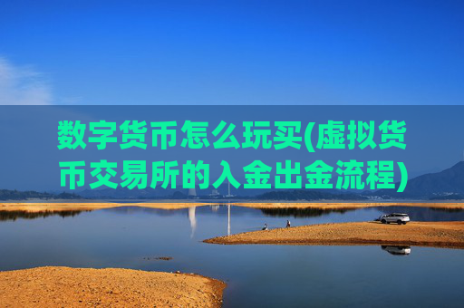 数字货币怎么玩买(虚拟货币交易所的入金出金流程)